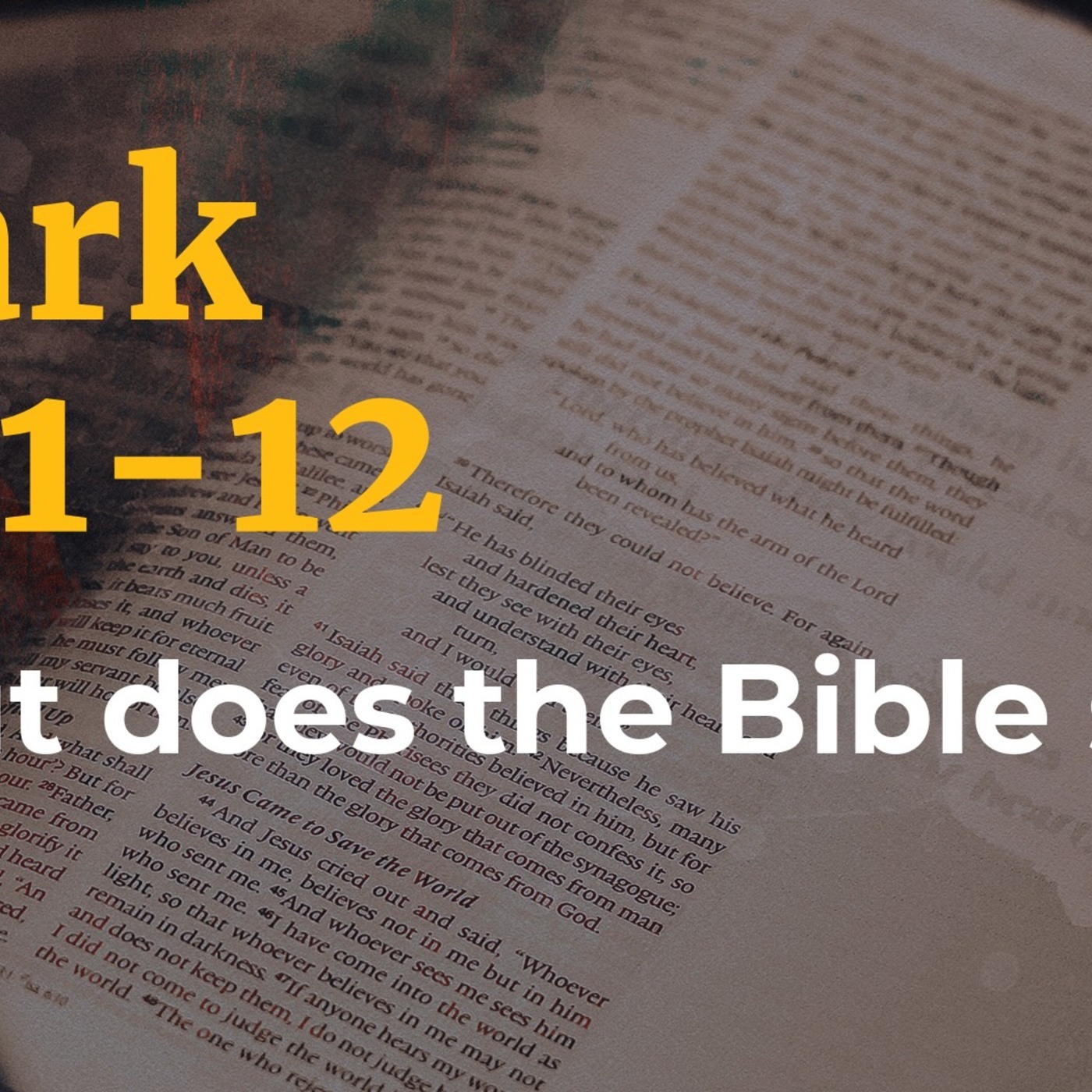 Mark 10:1-12, What does the Bible say?