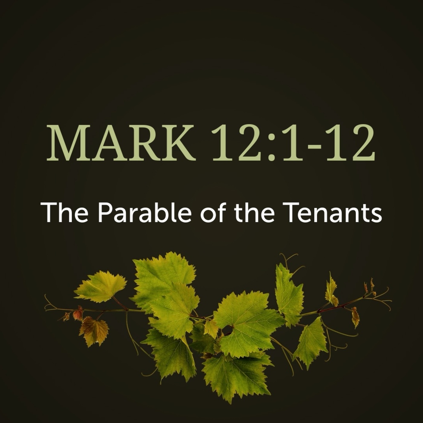 Mark 12:1-12, The Parable of the Tenants